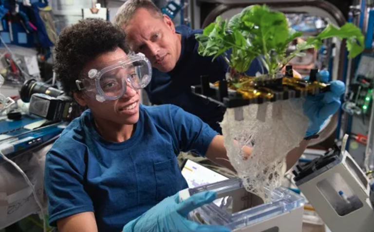 NASA astronauts Jessica Watkins and Bob Hines work on XROOTS, which used the station’s Veggie facility to test liquid- and air-based techniques to grow plants rather than traditional growth media. NASA